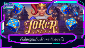 เว็บใหญ่กับเว็บเล็ก ต่างกันอย่างไร